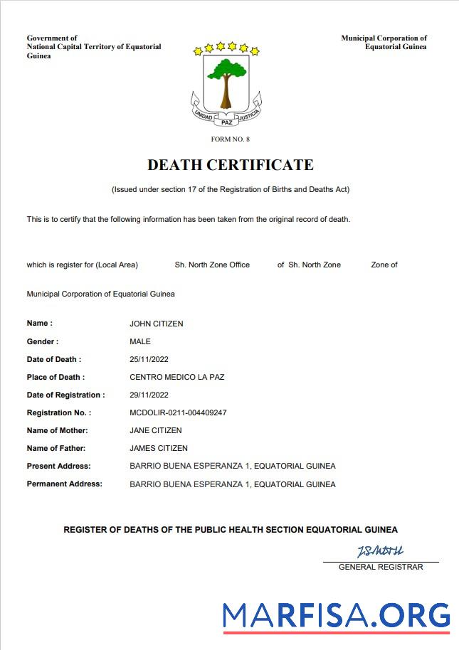 Blank Equatorial Guinea death certificate Word and PDF template